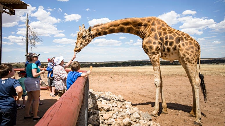 Monarto Safari Park Open Range Admission - Adelaide