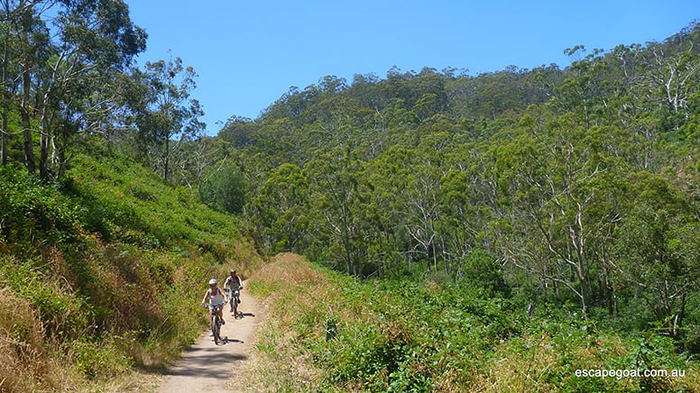 Mount Lofty Mountain Bike Descent Tour - Adelaide