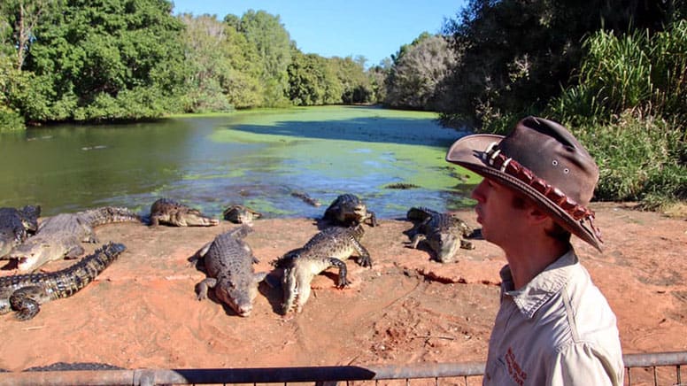 Crocodile Feeding Tour, 2.5 Hours - Broome