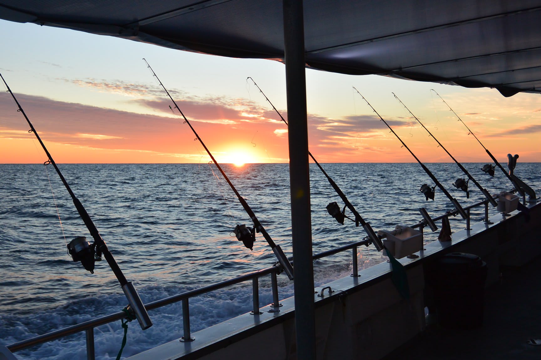 Deep Sea Fishing Trip, Full Day Sunshine Coast Adrenaline