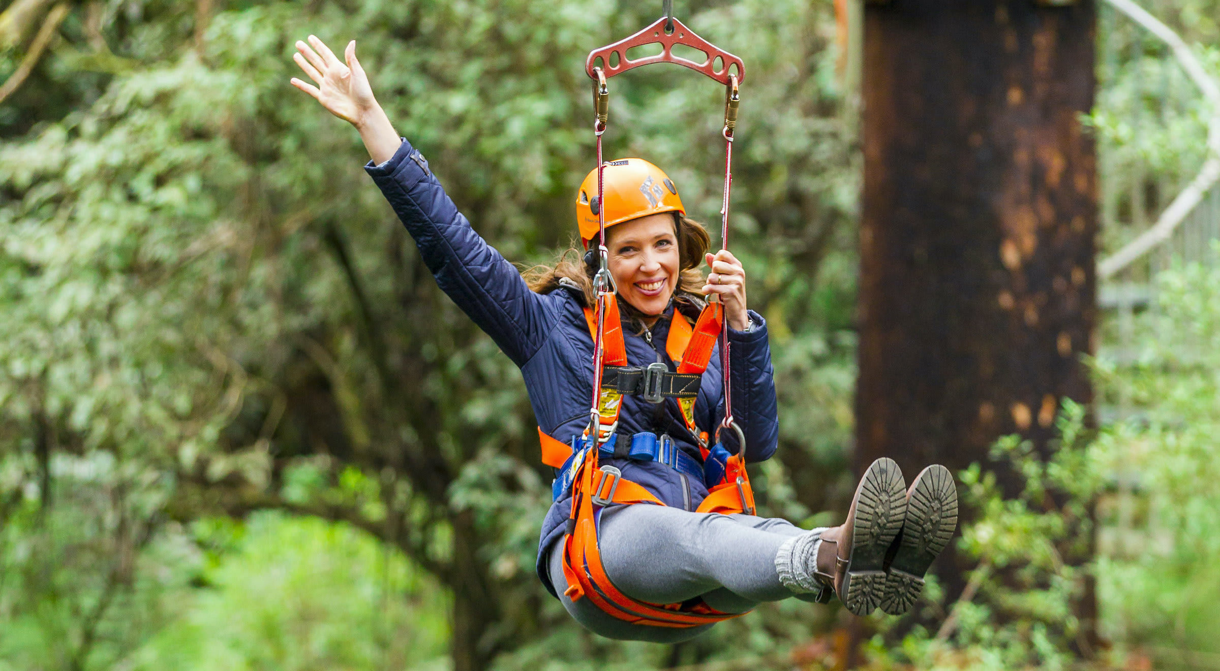 Otway Fly Treetop Adventure and Zip Line Tour - Otways