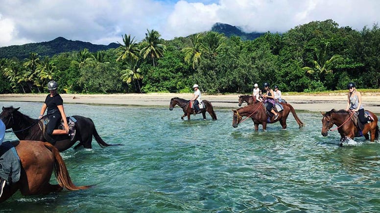 Beach Horse Riding Tour, Morning - Cape Tribulation