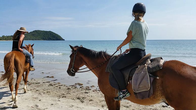 Beach Horse Riding Tour, Morning - Cape Tribulation