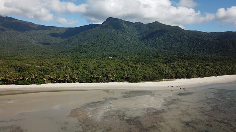 Beach Horse Riding Tour, Morning - Cape Tribulation