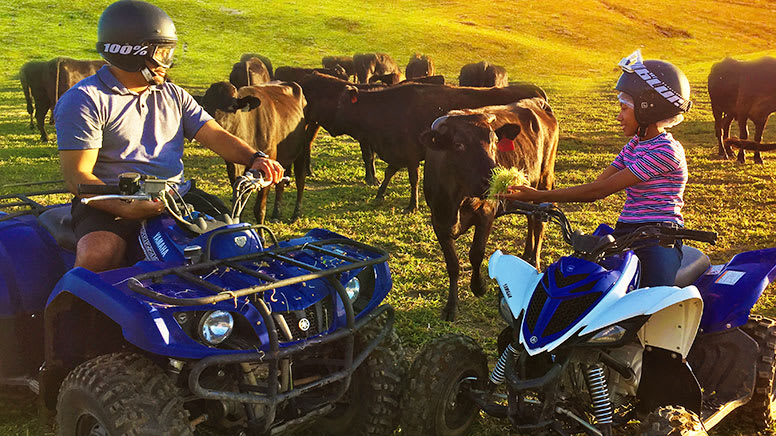 ATV Tour with Petting Zoo Entry - Cairns
