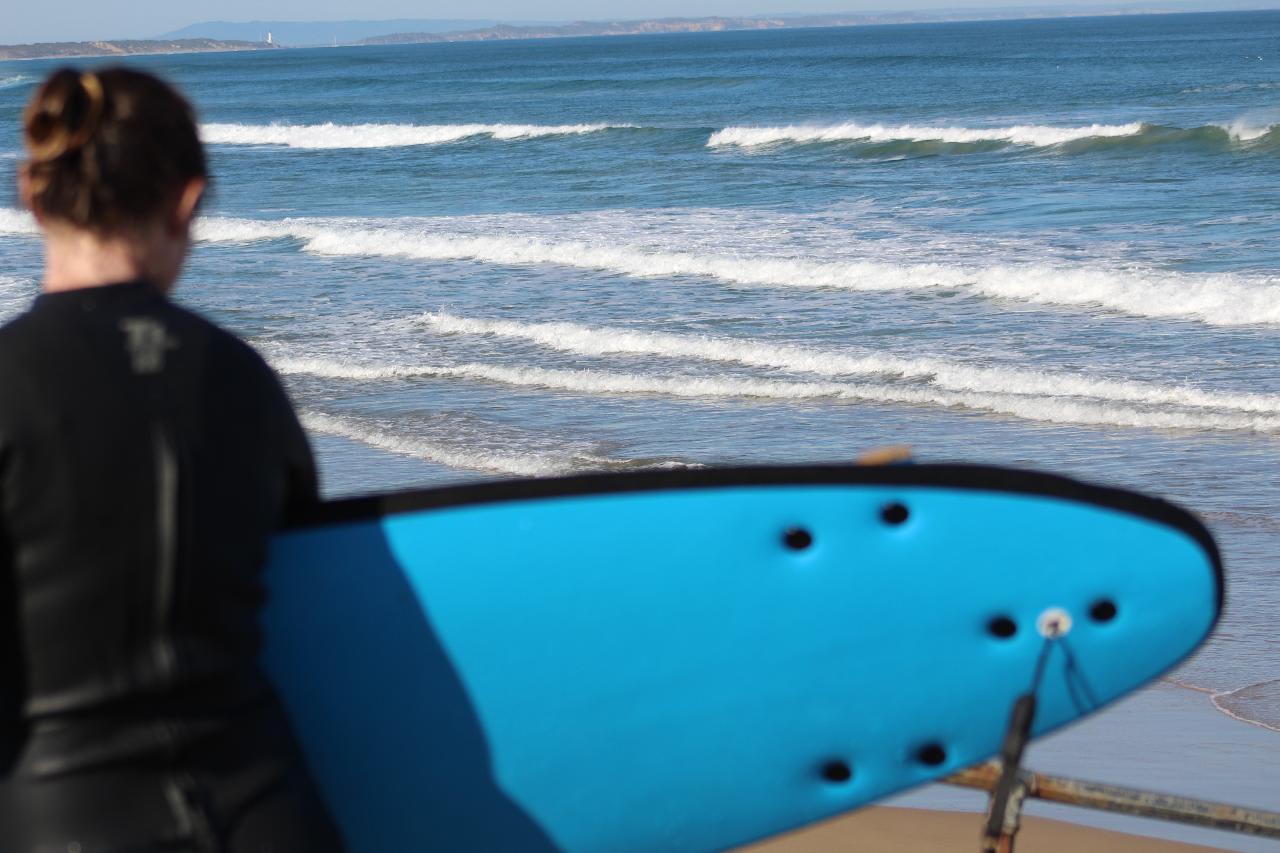 Surf Lesson & Snorkel with Dolphins Tour Queenscliff, Geelong