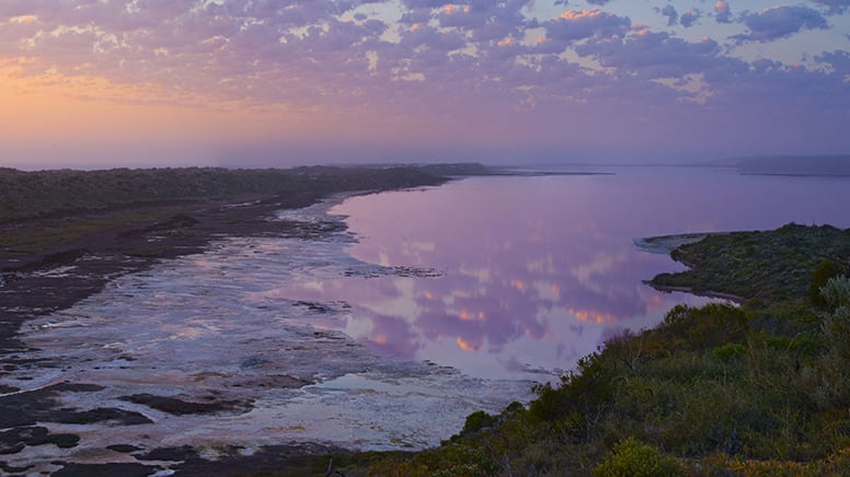 hutt lagoon buggy tours