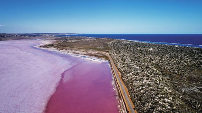 Pink Lake Buggy Tour, 1 Hour - Hutt Lagoon, WA