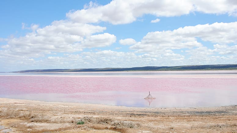 hutt lagoon buggy tours