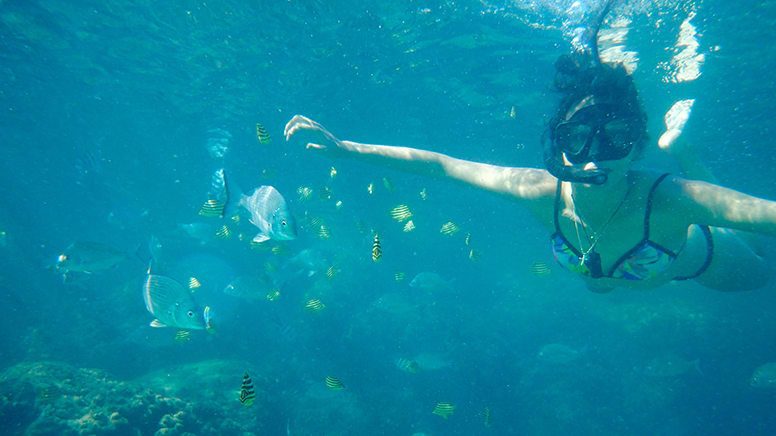 snorkelling and kayaking gold coast