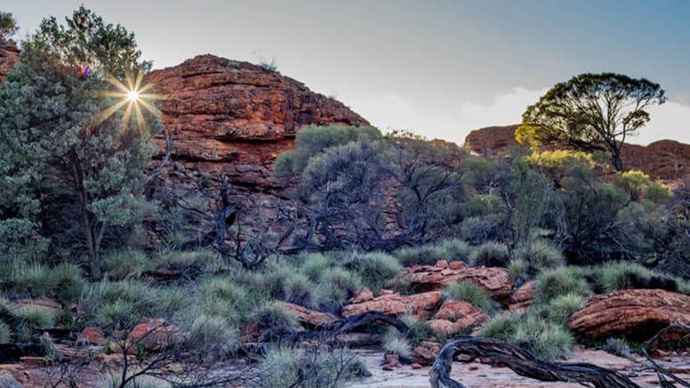 5 Day Larapinta Trail Trek - Departs Alice Springs