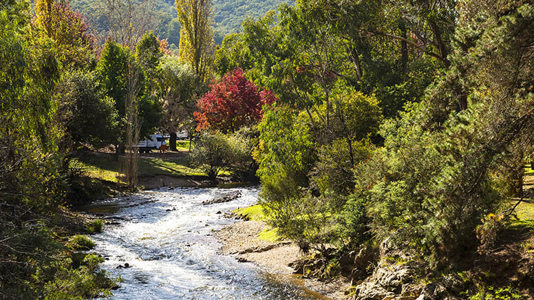 3 Day Cycling Trip - Beechworth to Bright, Victorian High Country