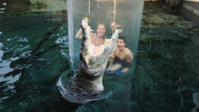 Swim With Crocodiles in the Cage Of Death & Cove Entry - Darwin - For 2