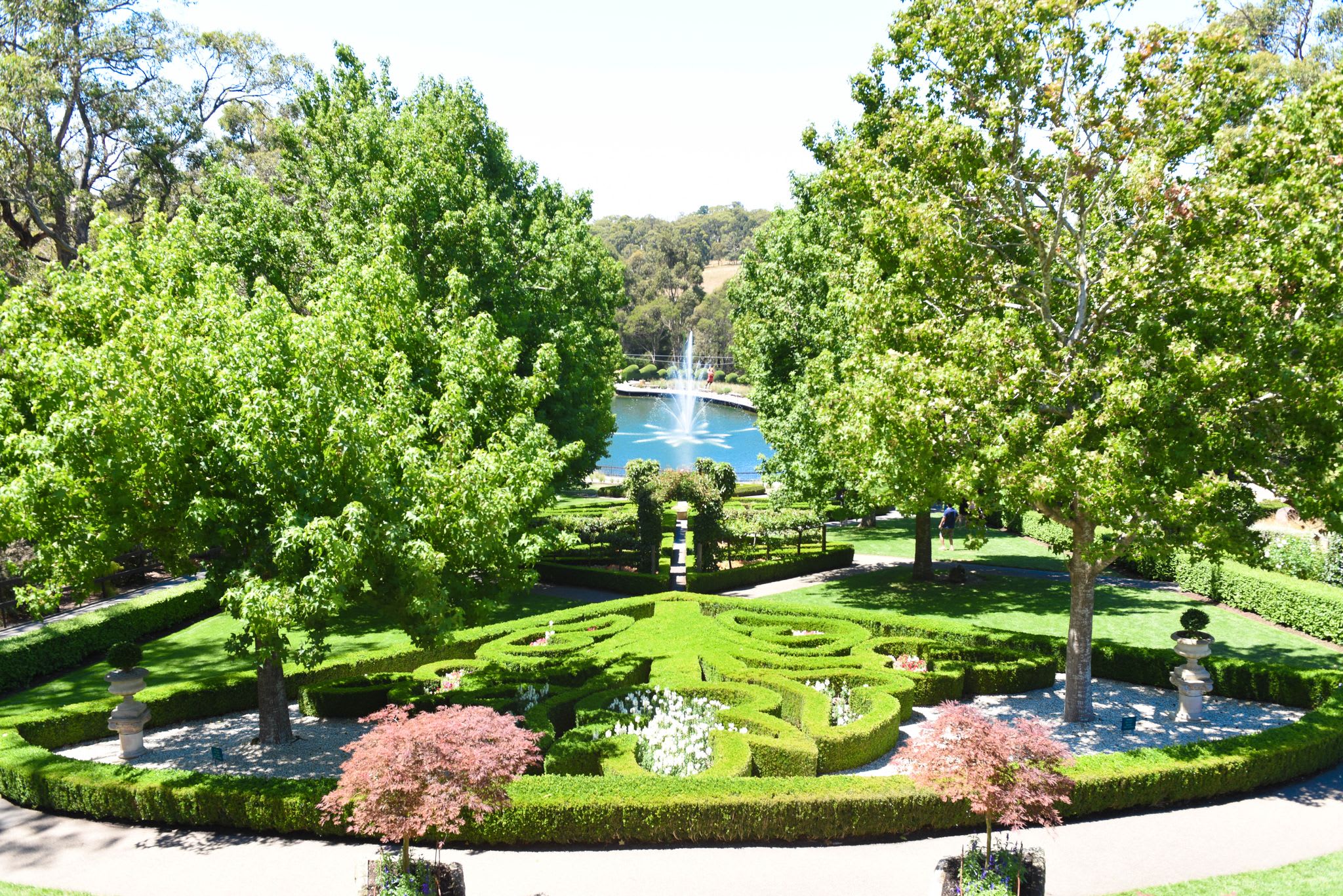 Tree Surfing & Adventure Garden Entry Mornington Peninsula Adrenaline