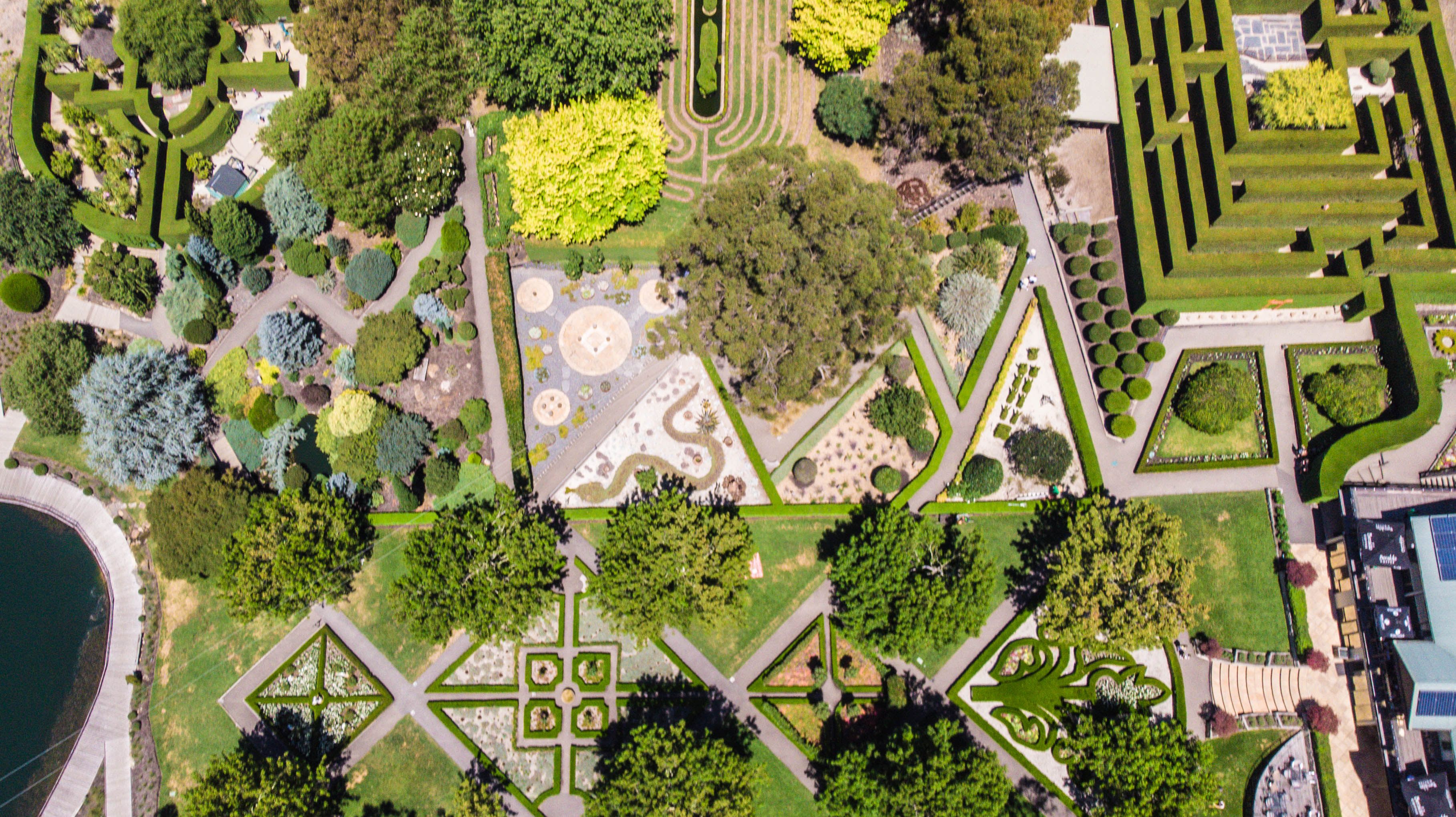 Tree Surfing & Adventure Garden Entry Mornington Peninsula Adrenaline