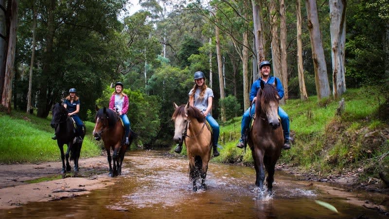 Horse Riding Adventure, 2 Hours Guided or Free Range - Central Coast