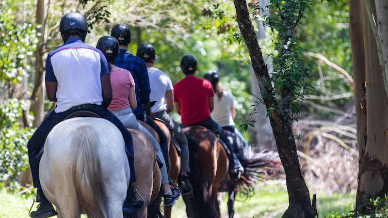 Horse Riding Adventure, 2 Hours Guided or Free Range - Central Coast