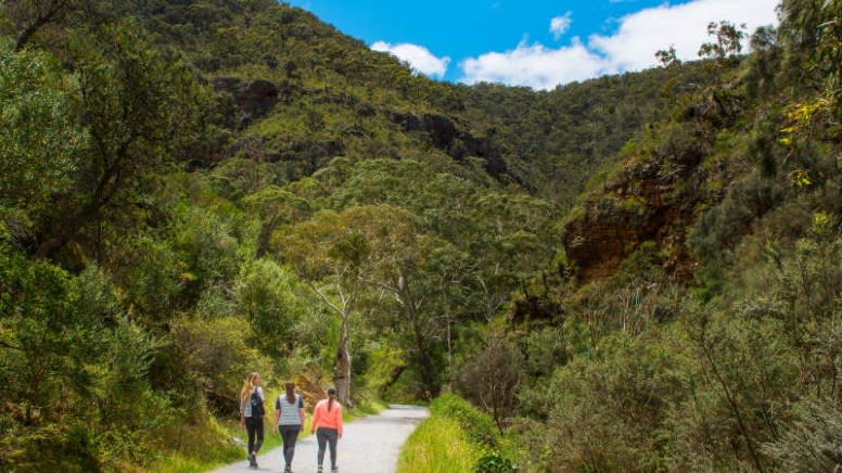 Morialta Wilderness and Wildlife Hike Tour, 3.5 Hours - Adelaide