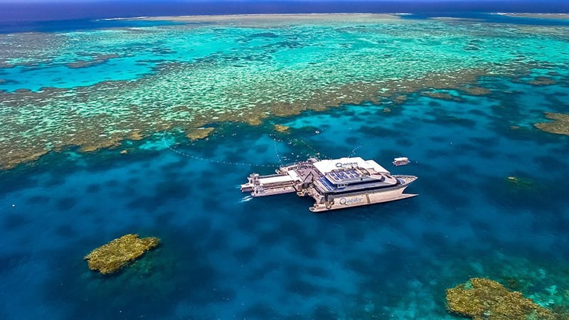 Great Barrier Reef Quicksilver Full Day Cruise Tour - Port Douglas