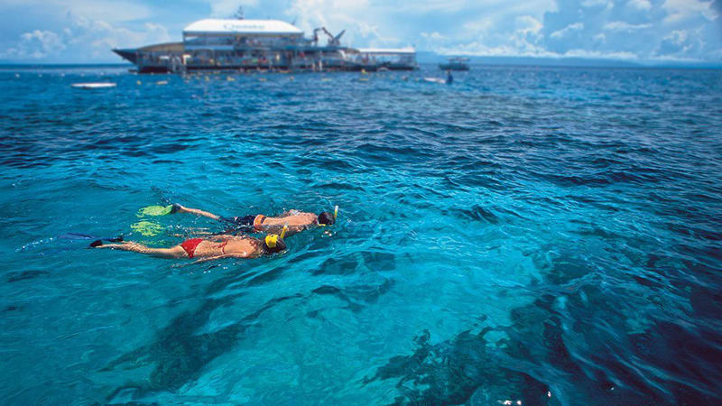 Great Barrier Reef Quicksilver Full Day Cruise Tour Port Douglas Adrenaline