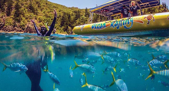 Snorkelling and Scuba Diving