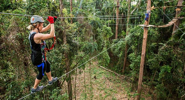 Ziplining and Flying foxes