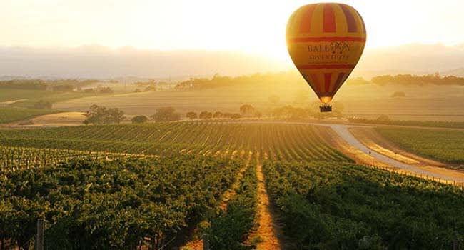 Barossa Valley (Adelaide)