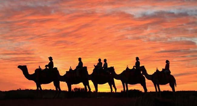 Camel rides Camel rides
