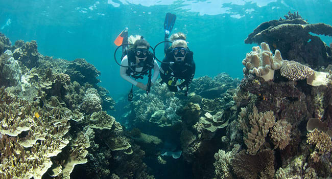 Scuba diving for certified divers