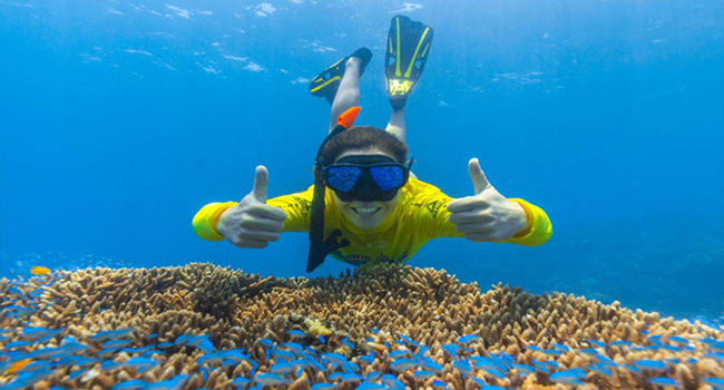 Snorkelling