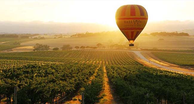 Hot Air Ballooning over the Barossa Valley