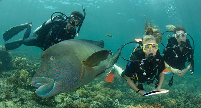 Scuba diving the Great Barrier Reef