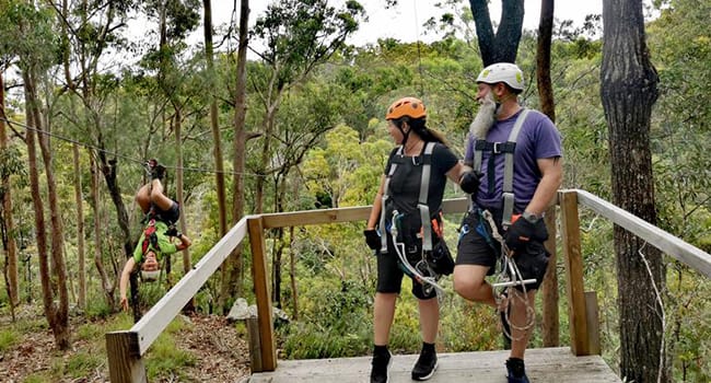 Guided Zipline Tour - Tamborine Mountain, Gold Coast