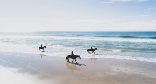 Horse Trail Ride along the beach , Byron Bay