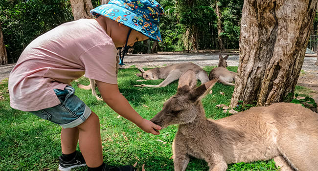 Taronga Zoo