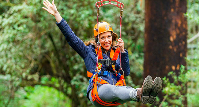 Zip line adventure in The Otway National Park