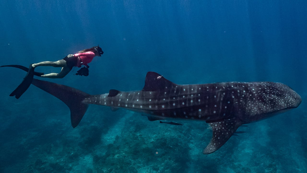 5 customer favourite adventures you’ll want to try 5 customer favourite adventures you’ll want to try