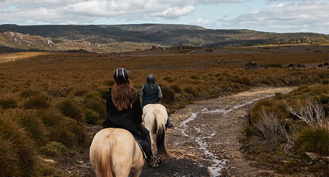 Horse trail ride