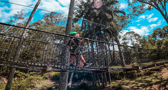 Flying Fox & Tree Adventures Flying Fox & Tree Adventures