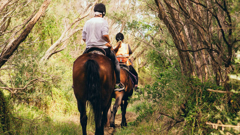 30+ Gift Ideas For High School Aged Girls Stay At Home Mum Horse Ride St Andrew's Beach, 2 Hours - Mornington Peninsula
