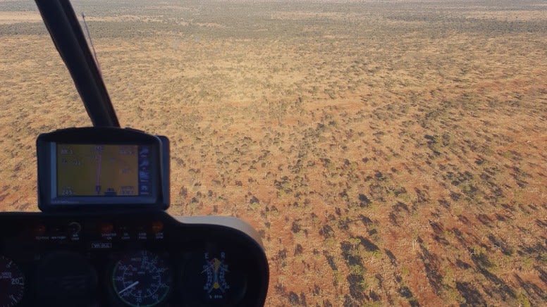 Porcupine Gorge Scenic Helicopter Flight, 50 Minutes - Hughenden