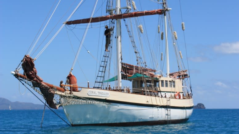 Tall Ship Whale Watching Cruise, 5 Hours - Sydney