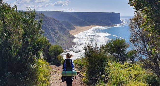 Royal National Park, Sydney NSW