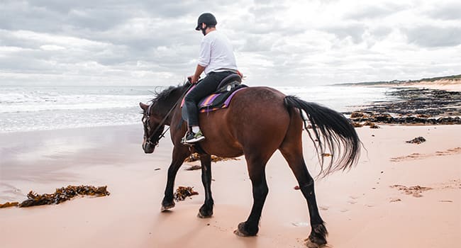 Day 5: horse trail ride