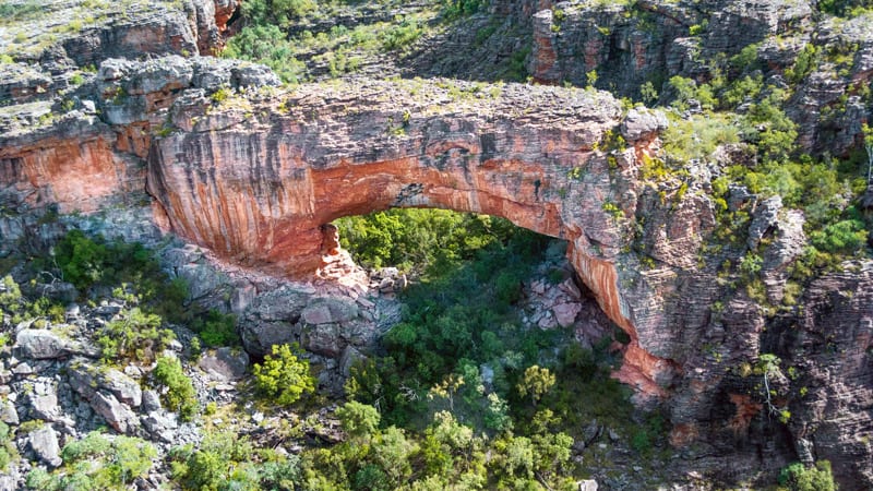 Kakadu National Park Scenic Flight, 1 Hour - Cooinda, NT