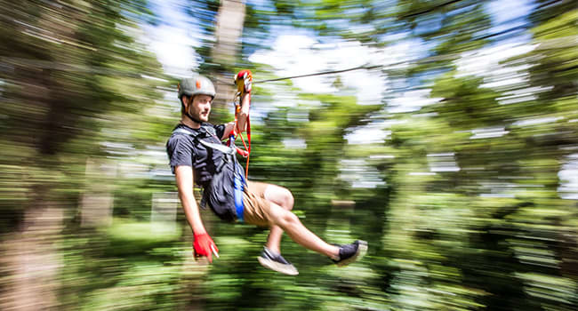 Flying fox and tree adventures