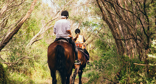 Horse ride & brewery lunch, Mornington Peninsula