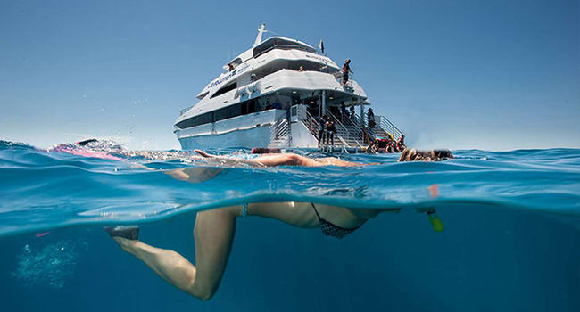 Great Barrier Reef Cruise, Cairns