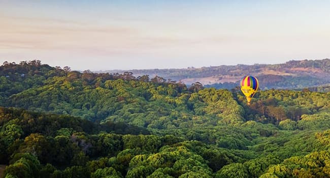 Hot Air Balloon, Byron Bay