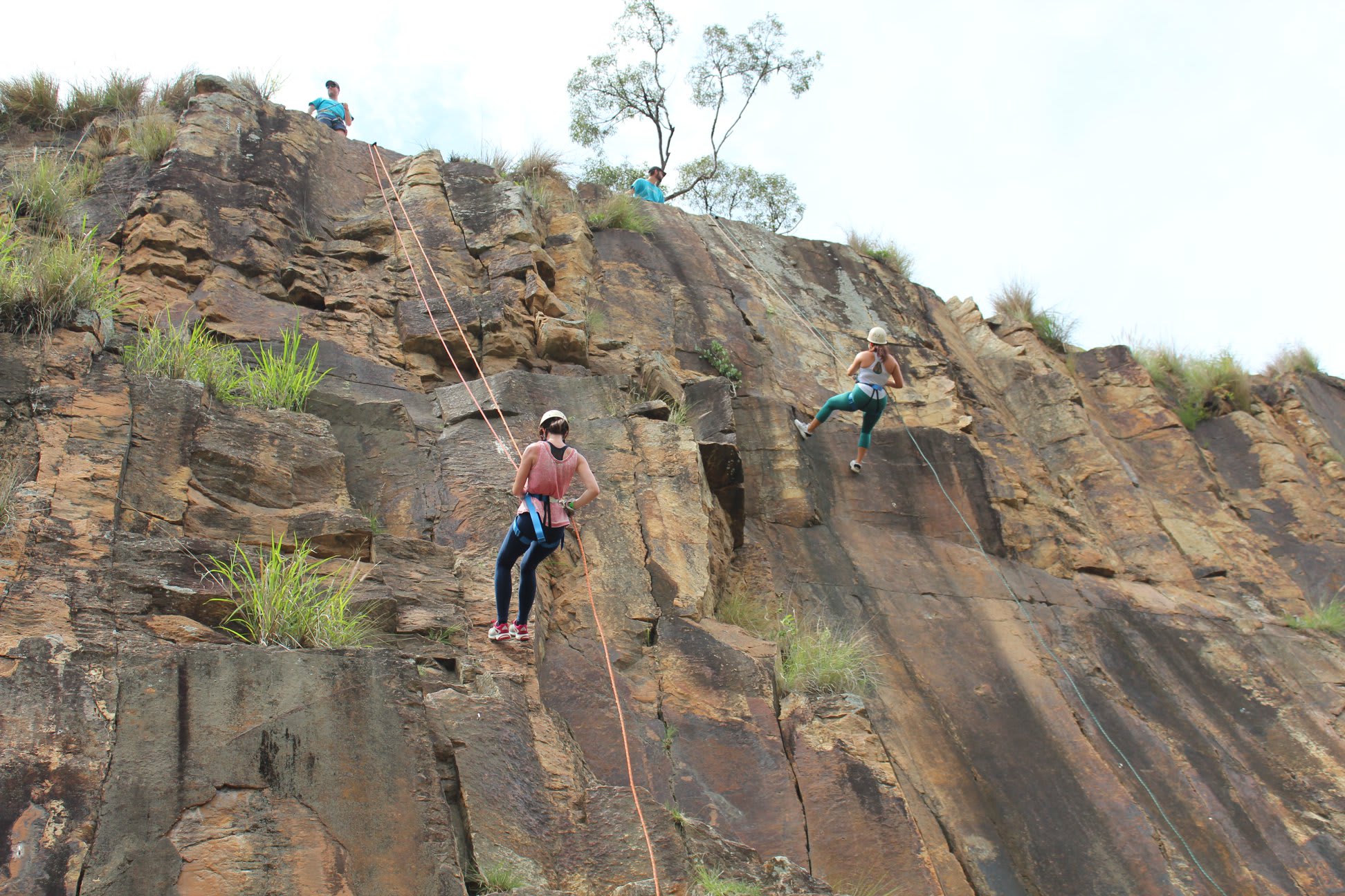 Twilight Abseil Kangaroo Point Cliffs. 1.5 Hours - Brisbane